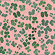 Kids Fran Dress Four-Leaf Clover