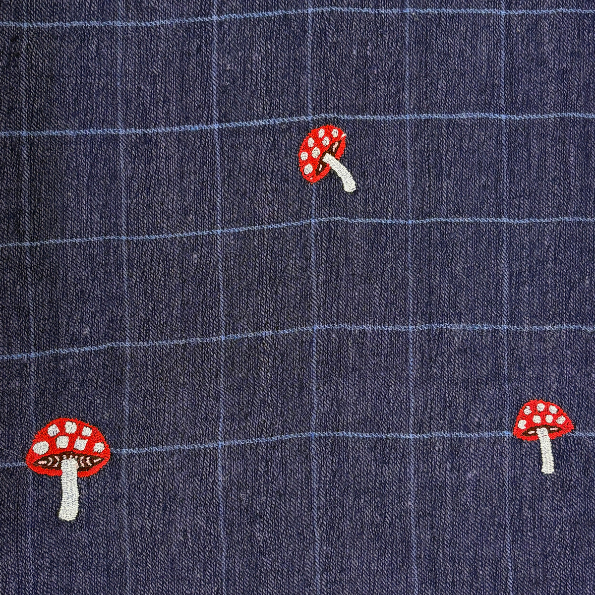 Mushroom Embroidered Shawl Navy Check