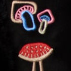 Mimi Gilet Black Suede With Mushroom Embroidery