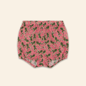 Kids Fran Dress Frog Blossom