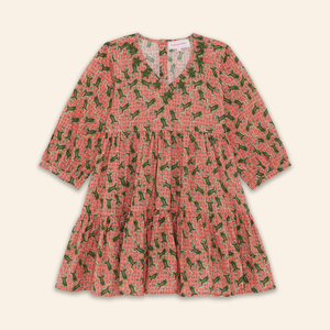 Kids Fran Dress Frog Blossom