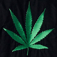 Youness Jacket Herb