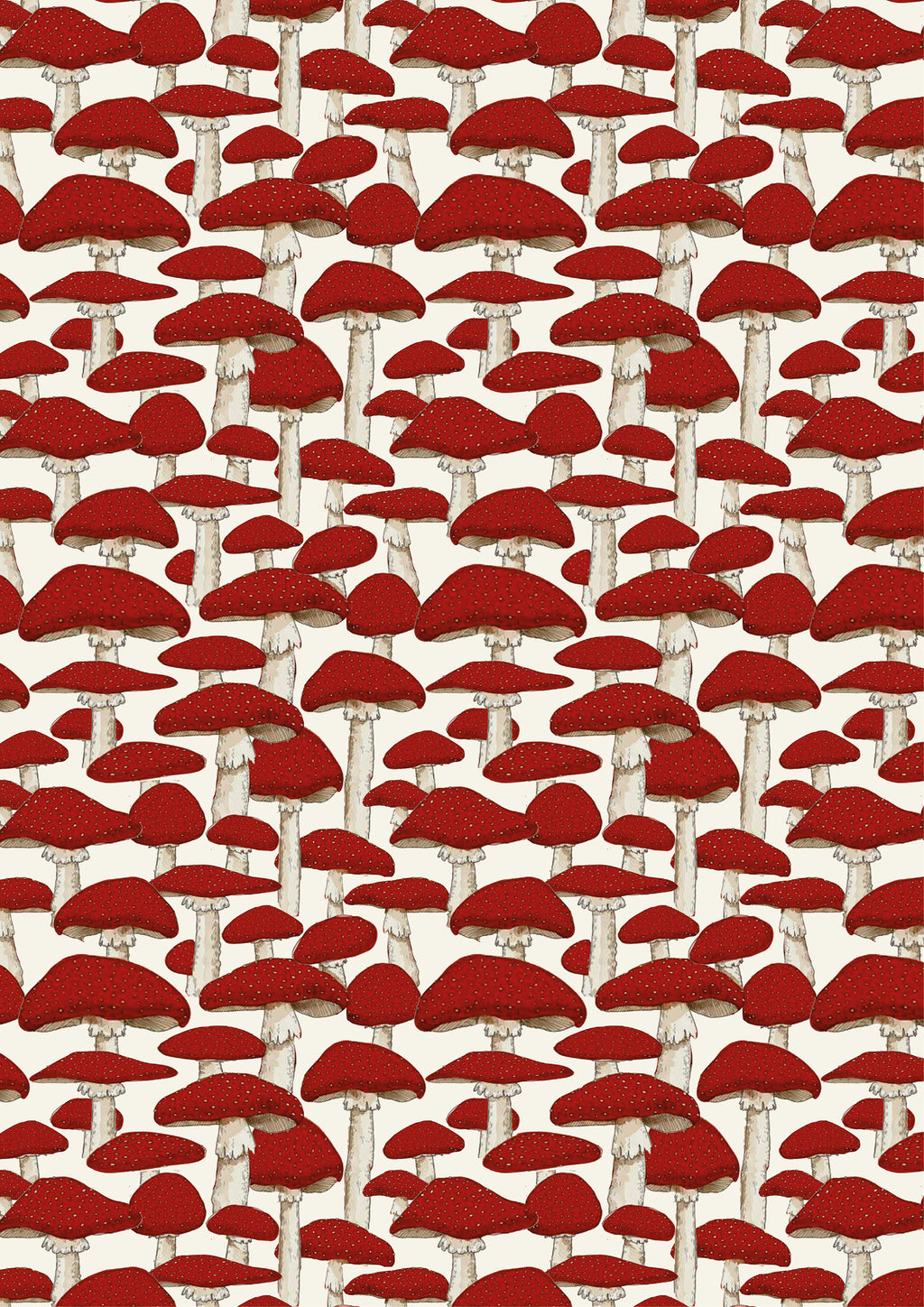 Kids Aryo Shirt and Otto Shorts Red Mushroom