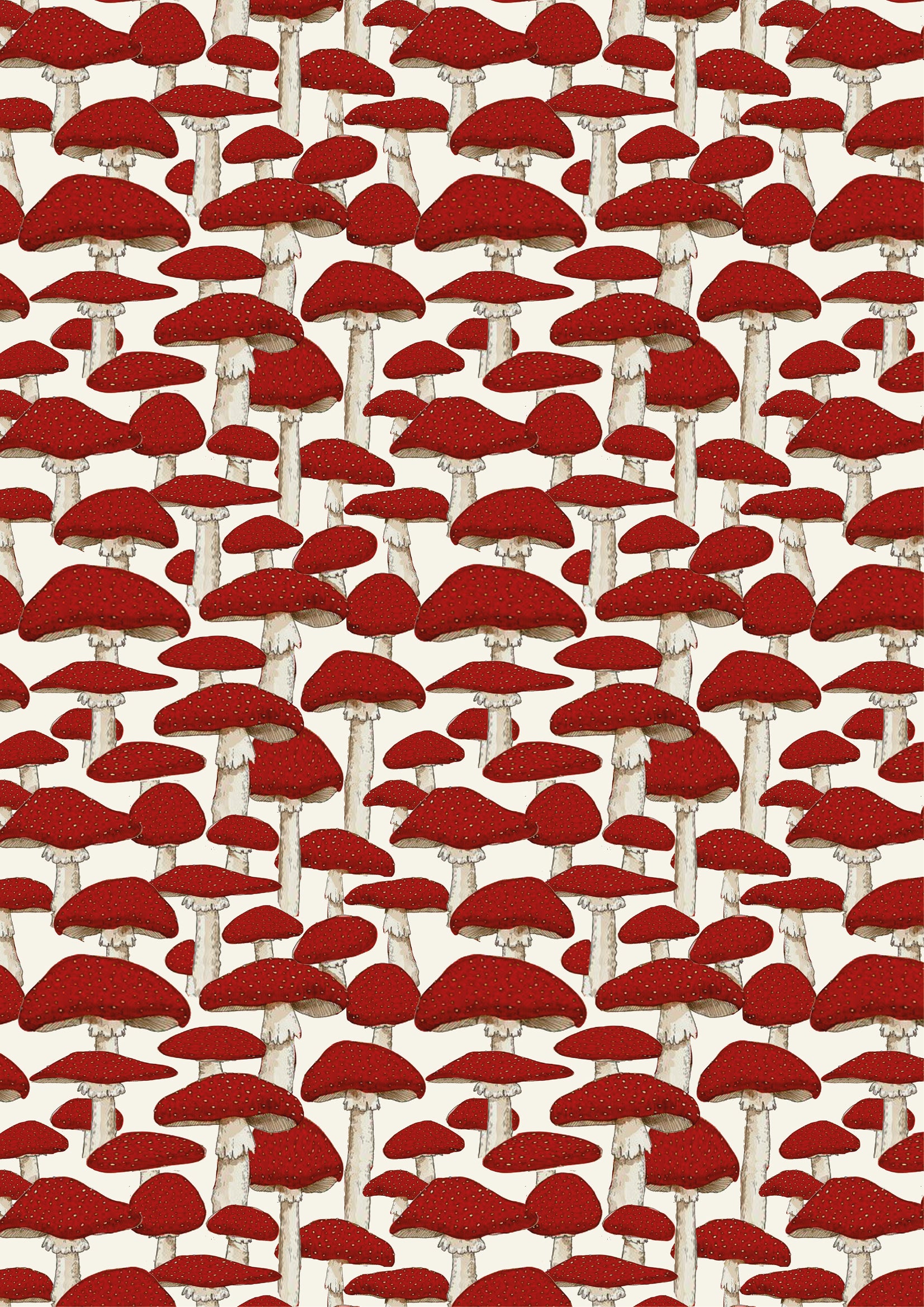Kids Aryo Shirt and Otto Shorts Red Mushroom