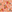Bihar Blessings Peach Placemat | Set of Two