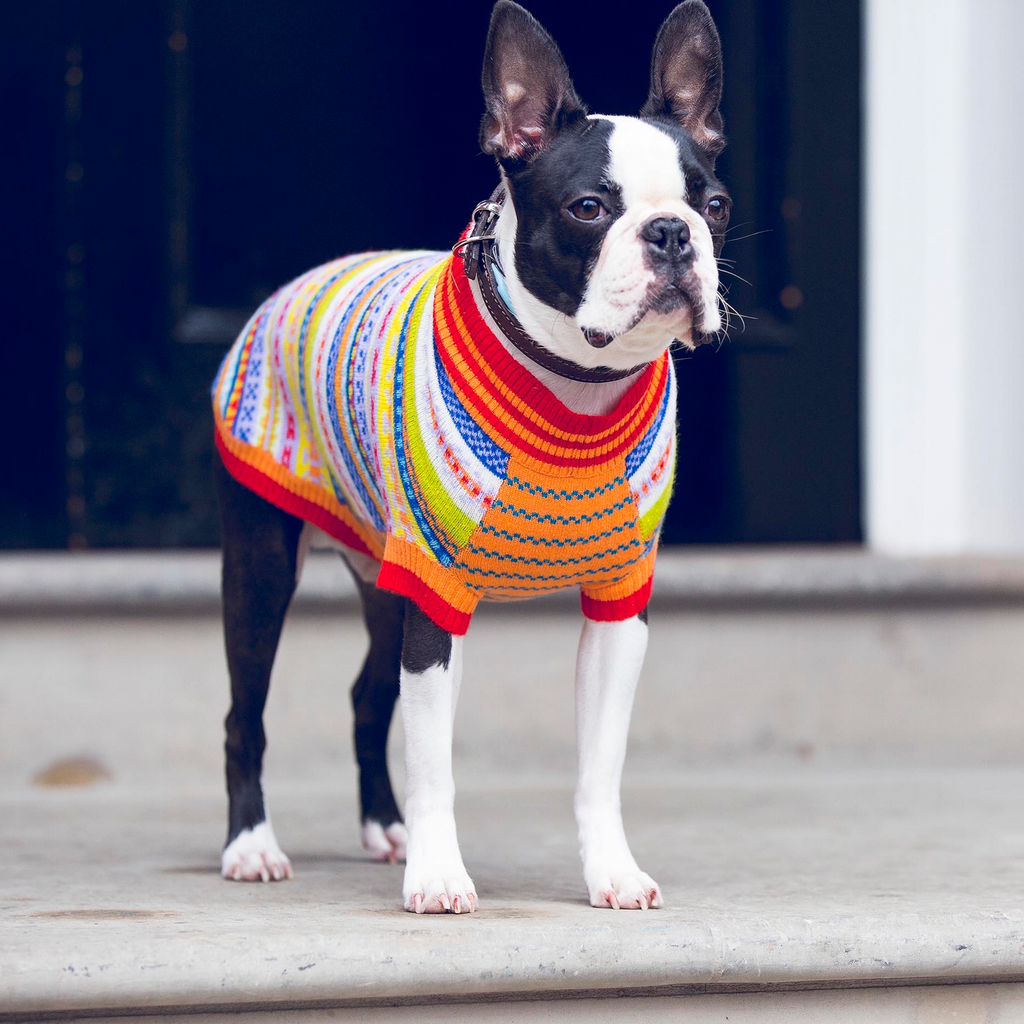 Peruvian Dog Sweater