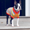 Peruvian Dog Sweater
