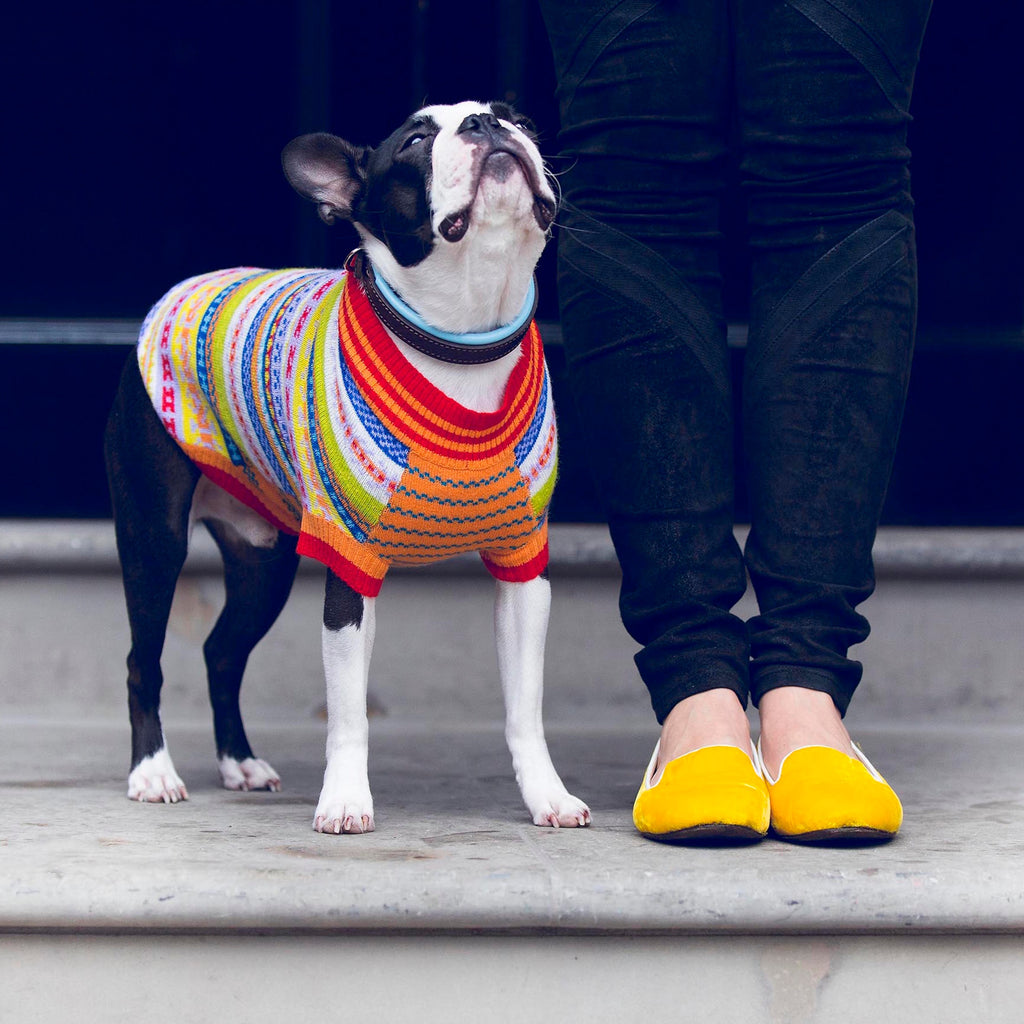 Peruvian Dog Sweater