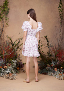 Lolita Dress Flying Pigs