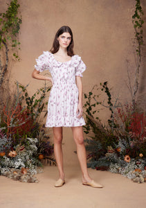 Lolita Dress Flying Pigs
